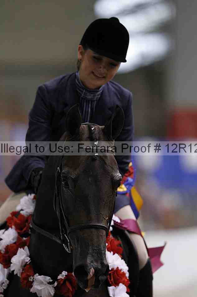 Proof Number 12r12_4831
