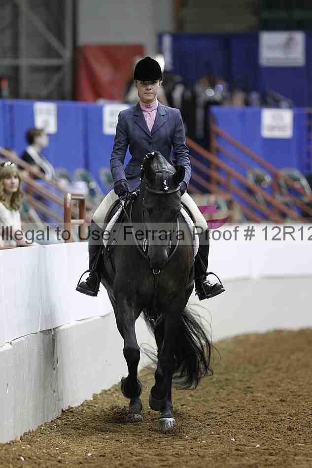 Proof Number 12r12_4833
