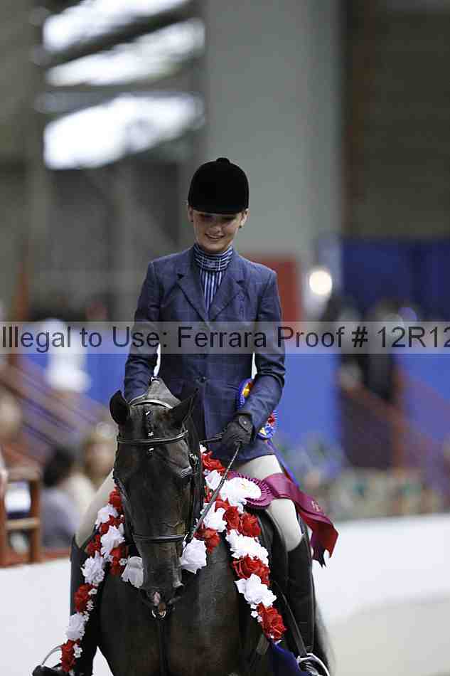 Proof Number 12r12_4849