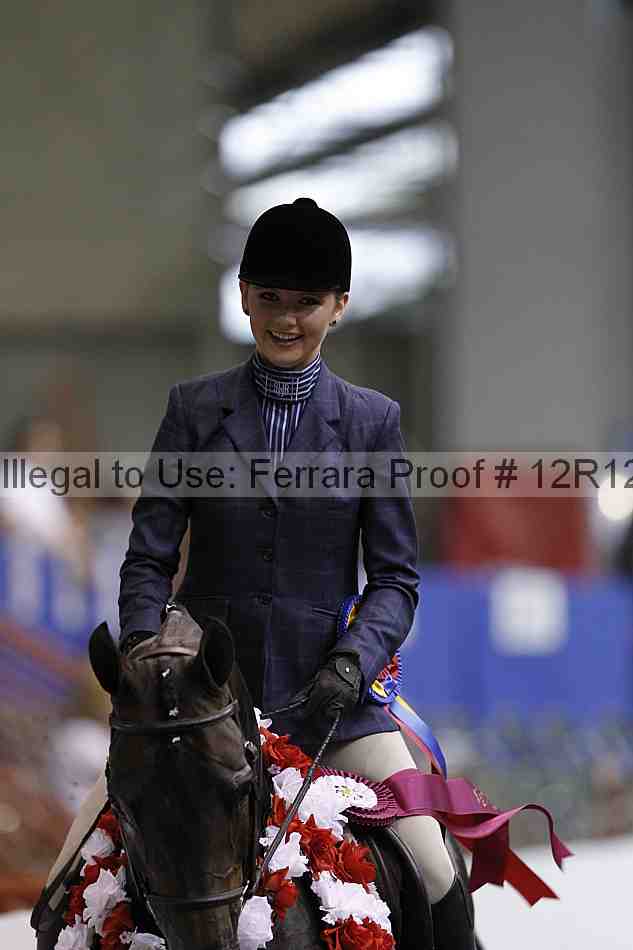 Proof Number 12r12_4850