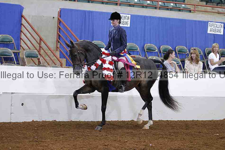 Proof Number 12r12_4854