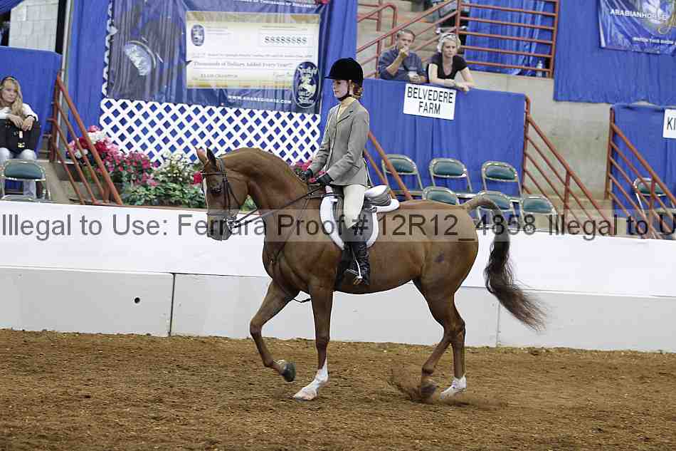 Proof Number 12r12_4858