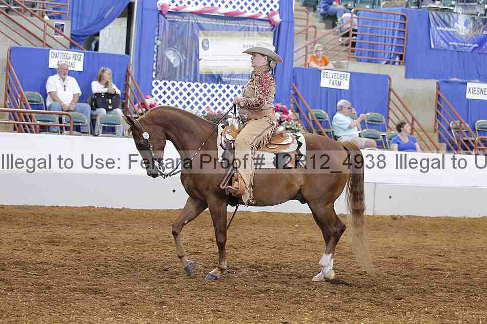 Proof Number 12r12_4938