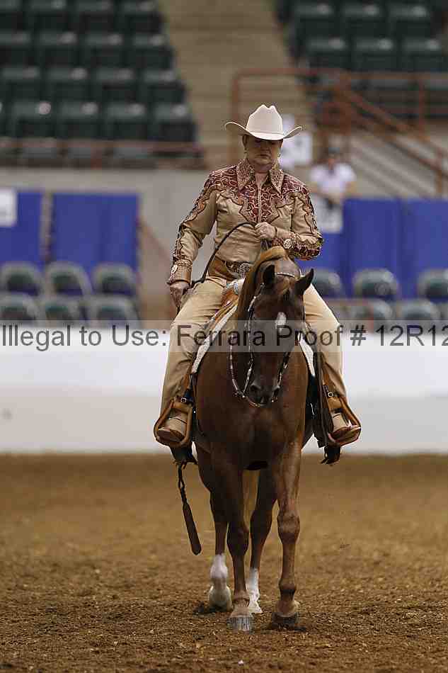 Proof Number 12r12_4940