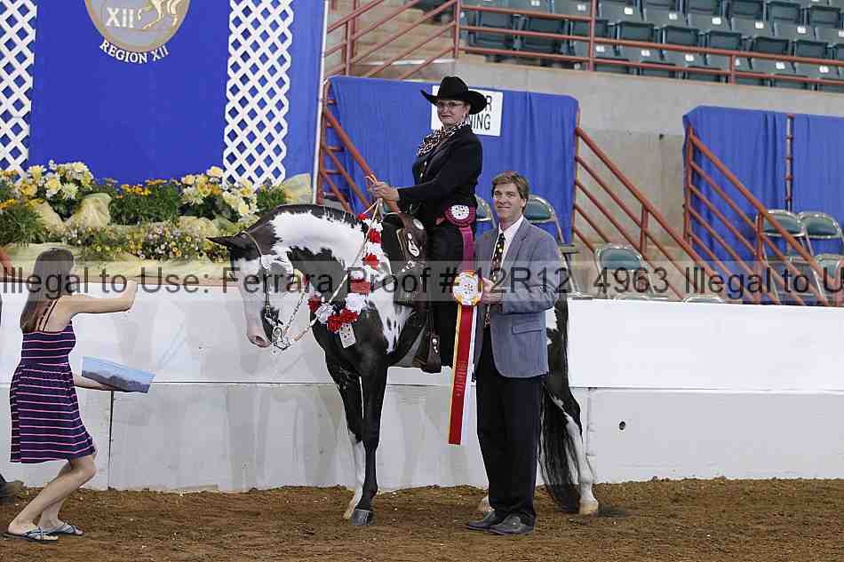 Proof Number 12r12_4963