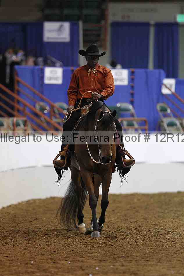 Proof Number 12r12_4971