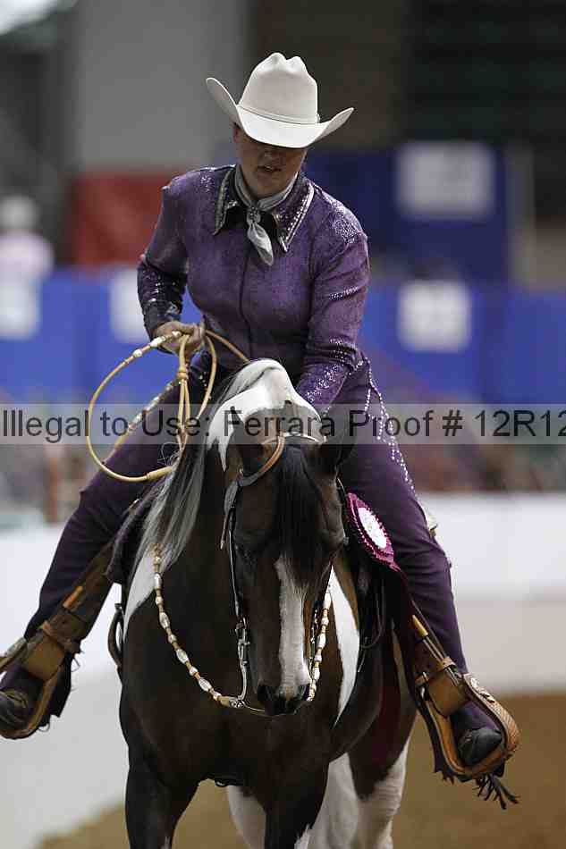 Proof Number 12r12_4974
