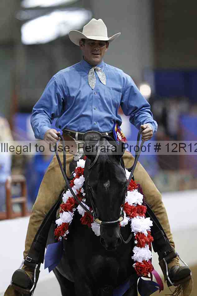 Proof Number 12r12_4995