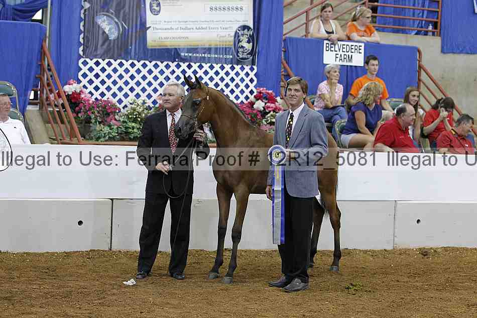 Proof Number 12r12_5081