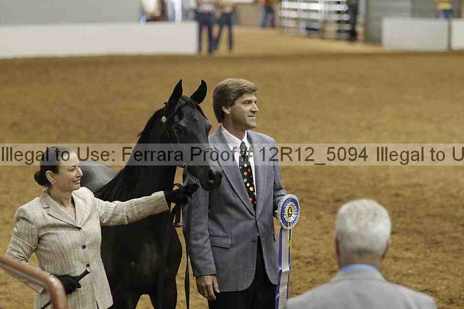 Proof Number 12r12_5094