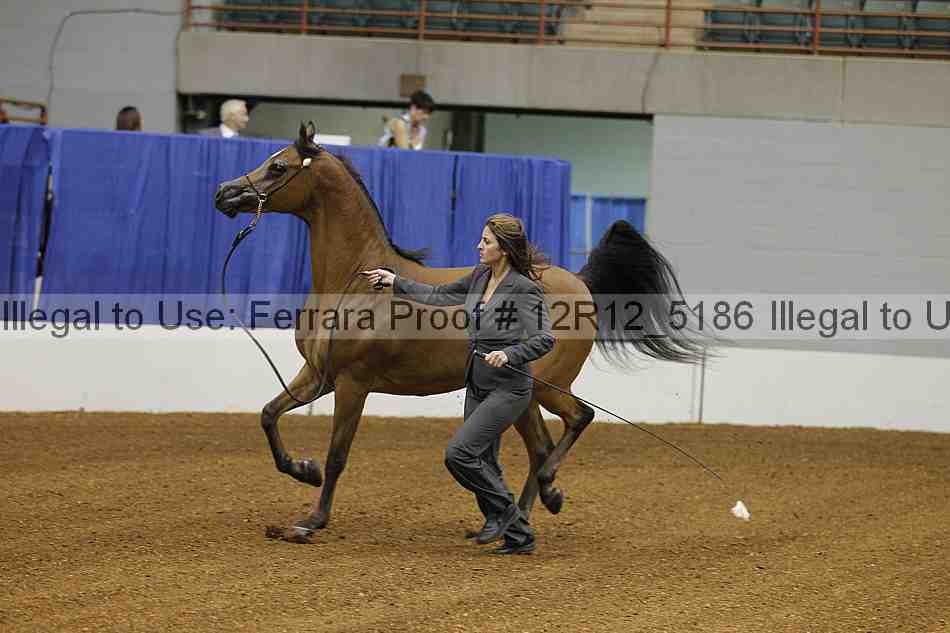 Proof Number 12r12_5186