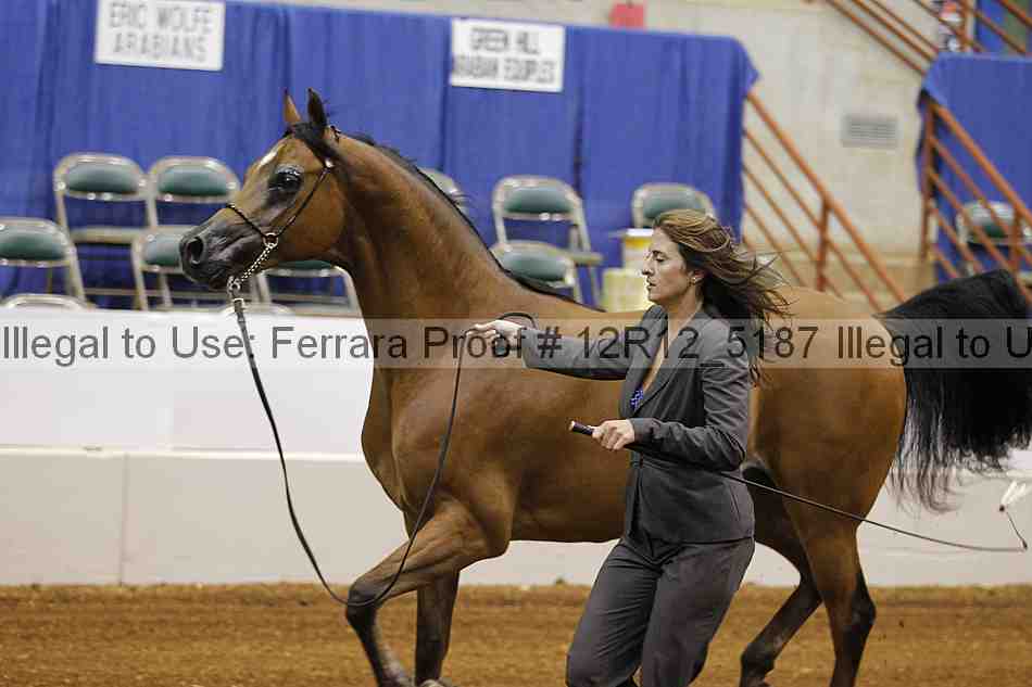 Proof Number 12r12_5187