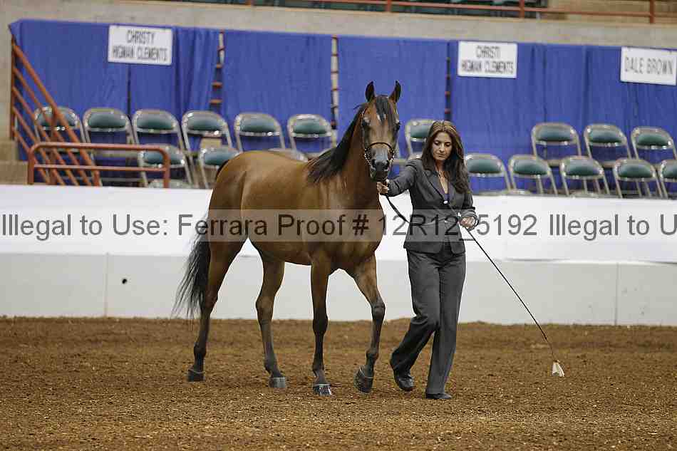 Proof Number 12r12_5192