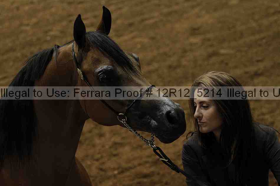 Proof Number 12r12_5214