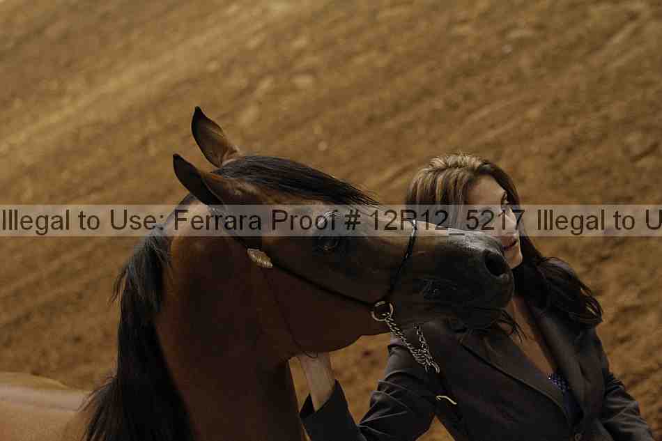 Proof Number 12r12_5217