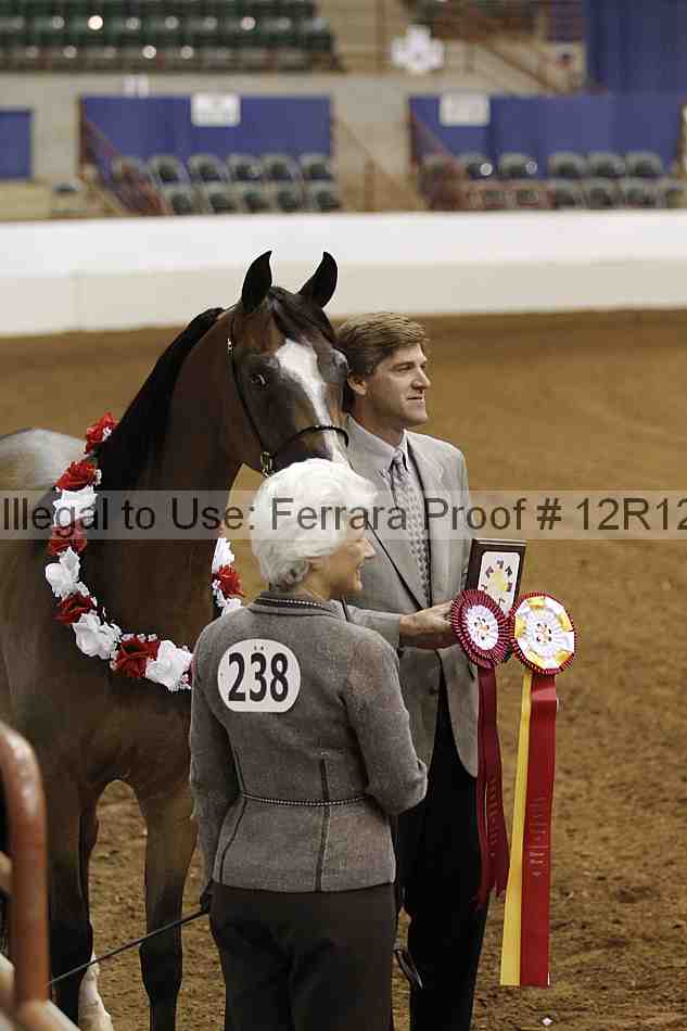 Proof Number 12r12_5222