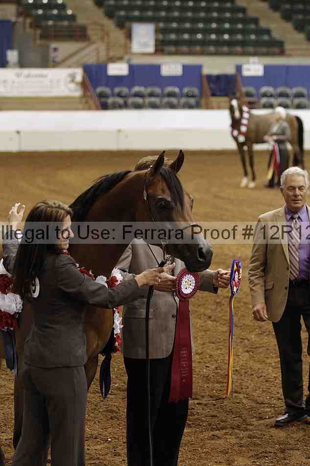 Proof Number 12r12_5226