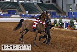 12r12_5235 thumbnail