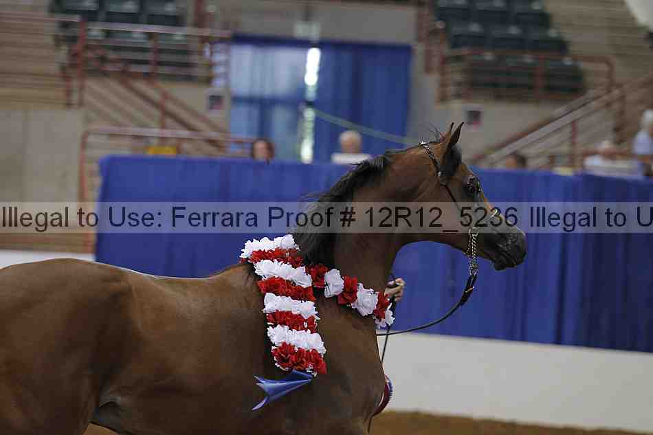 Proof Number 12r12_5236