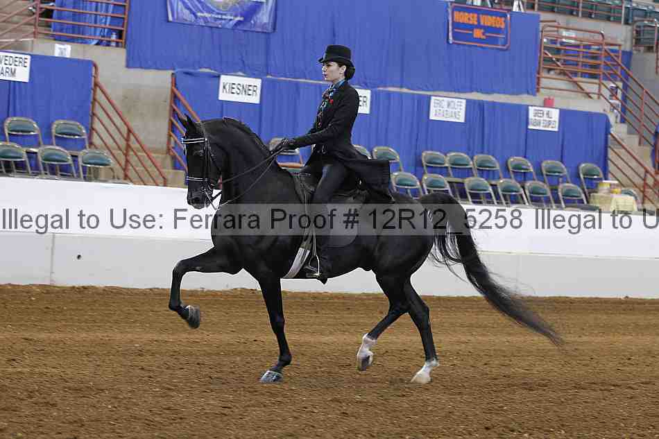 Proof Number 12r12_5258