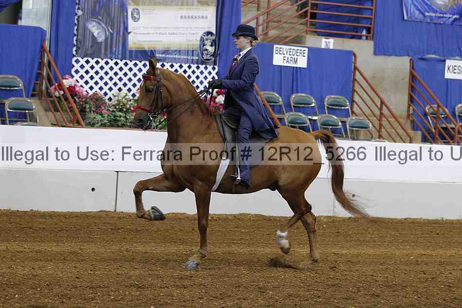 Proof Number 12r12_5266