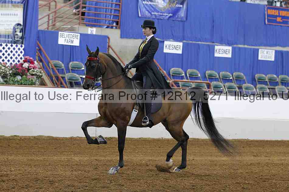 Proof Number 12r12_5271