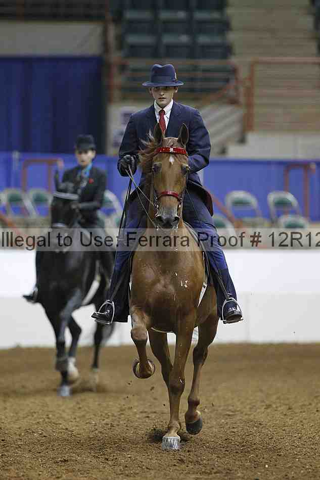 Proof Number 12r12_5279