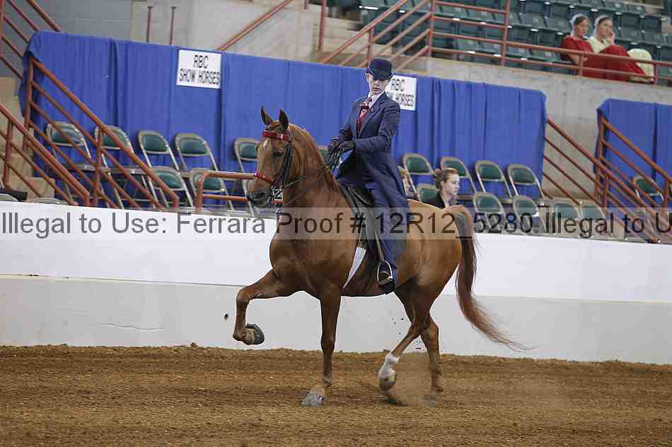 Proof Number 12r12_5280