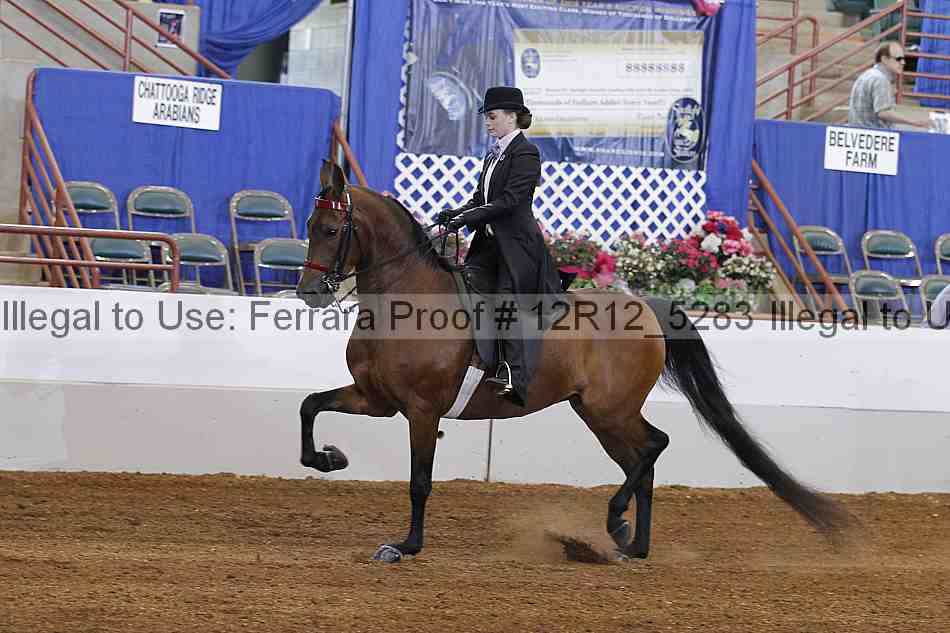 Proof Number 12r12_5283