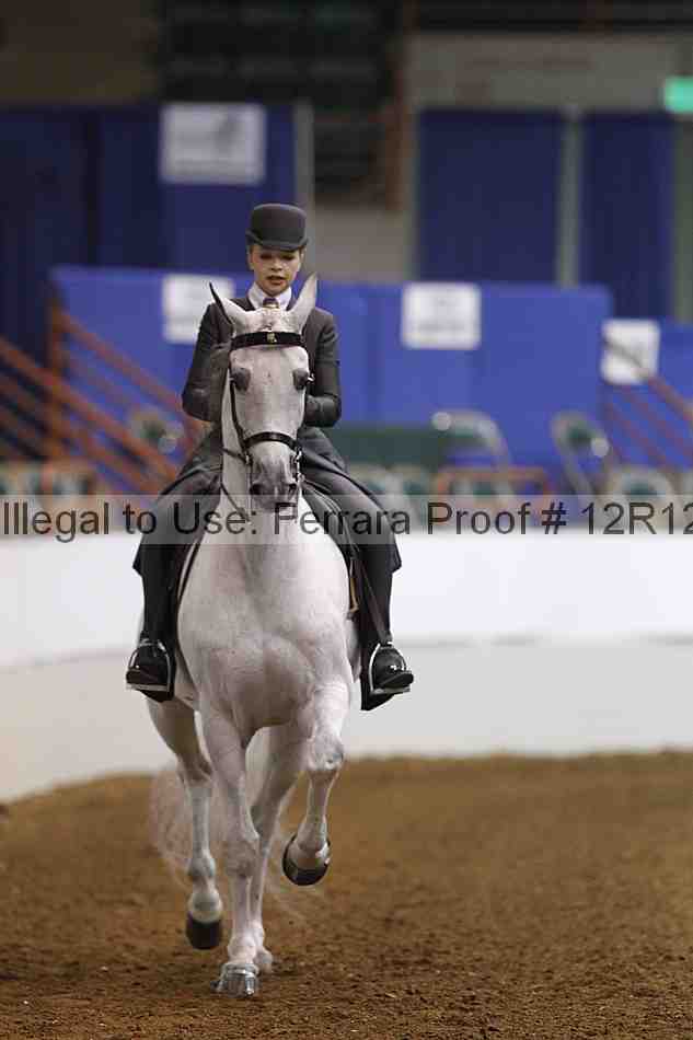 Proof Number 12r12_5285