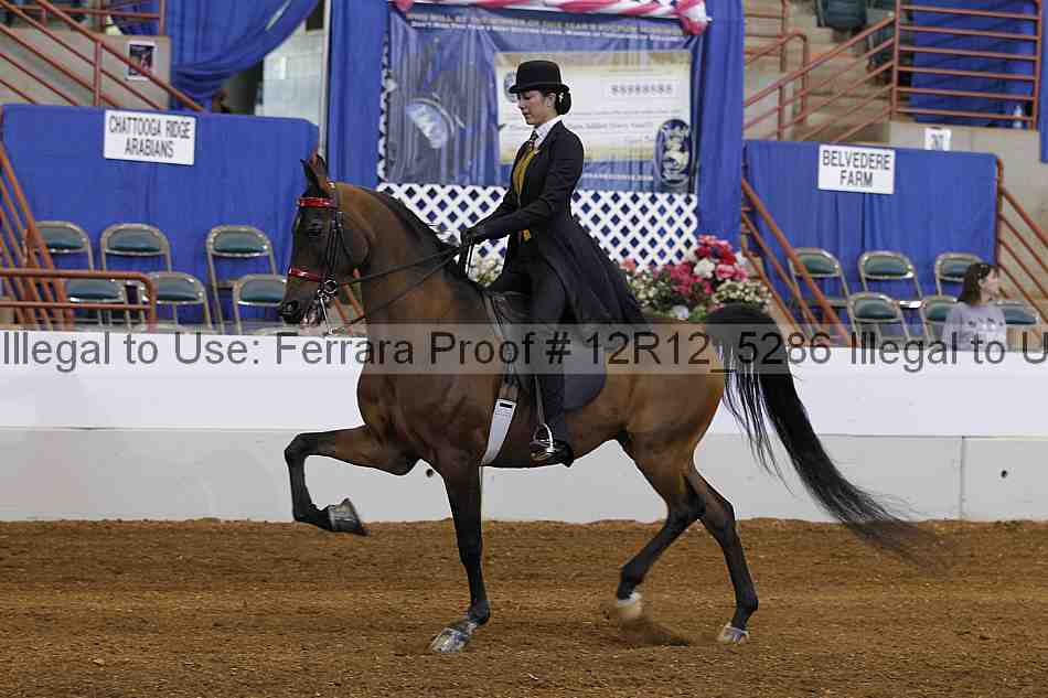 Proof Number 12r12_5286