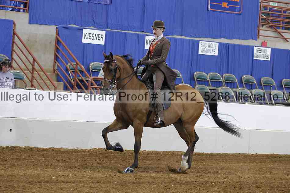 Proof Number 12r12_5288