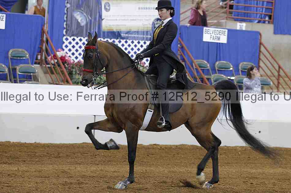 Proof Number 12r12_5290