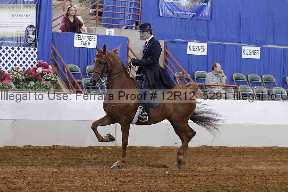 Proof Number 12r12_5291