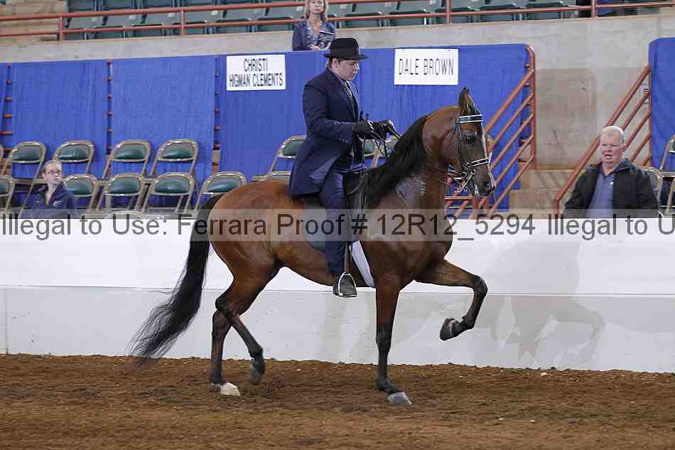 Proof Number 12r12_5294