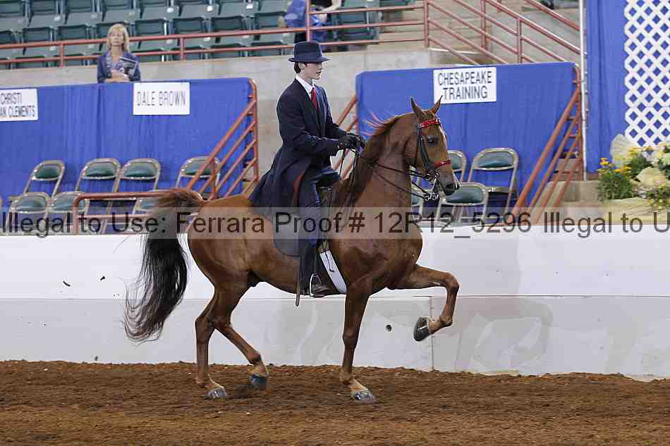 Proof Number 12r12_5296