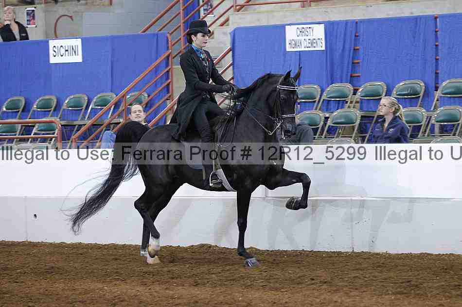 Proof Number 12r12_5299
