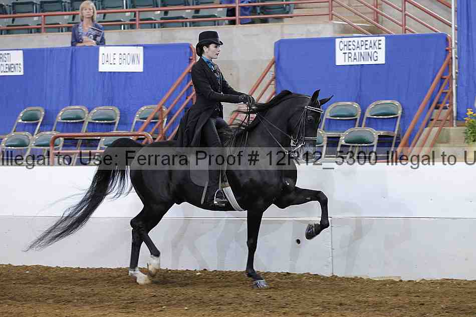 Proof Number 12r12_5300