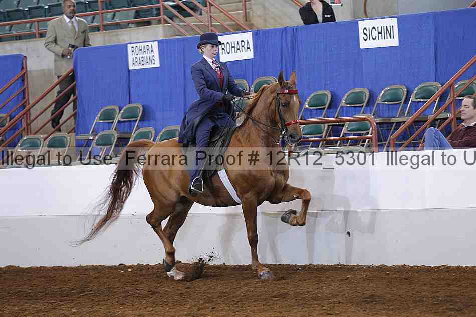 Proof Number 12r12_5301