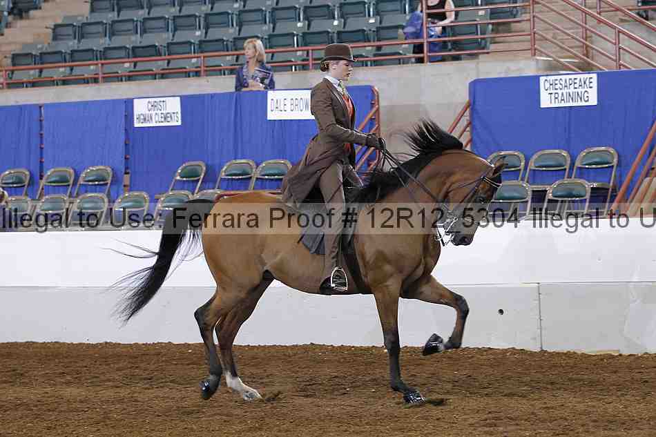 Proof Number 12r12_5304