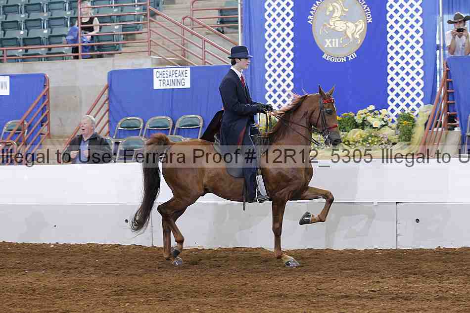 Proof Number 12r12_5305