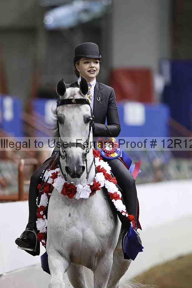 Proof Number 12r12_5316