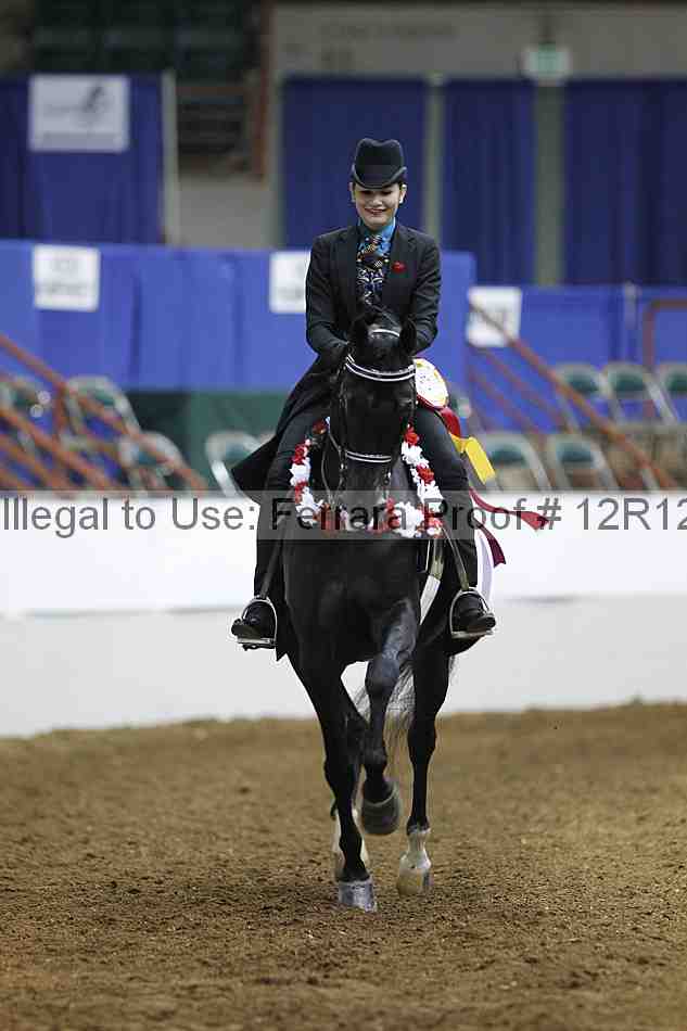 Proof Number 12r12_5326