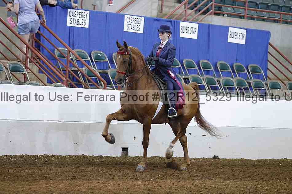 Proof Number 12r12_5329