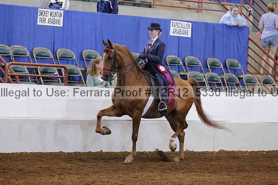 Proof Number 12r12_5330