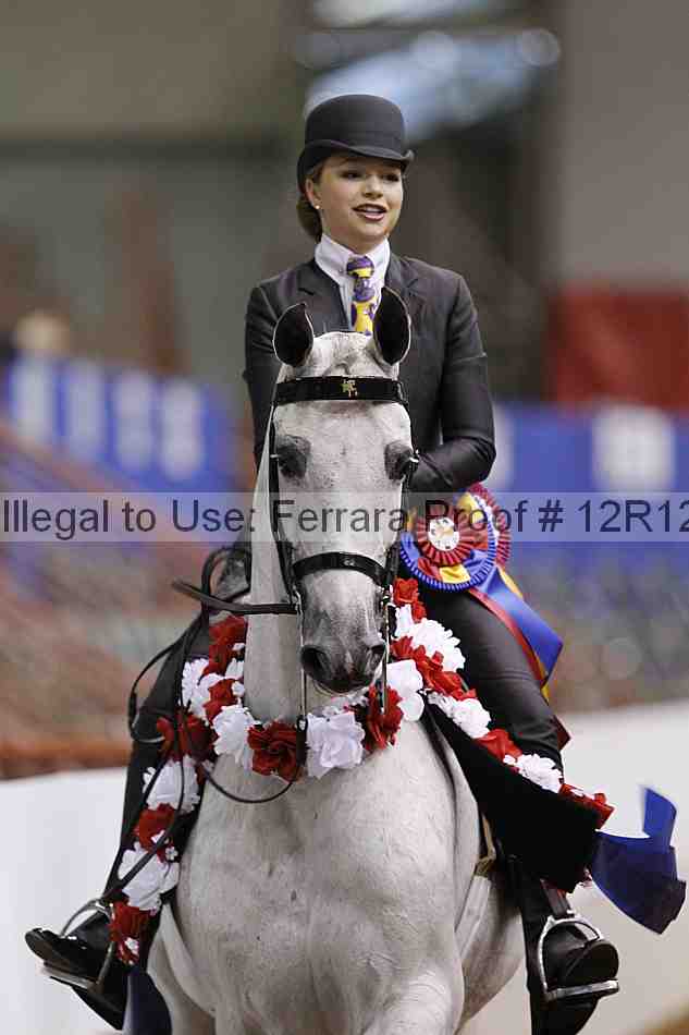 Proof Number 12r12_5334