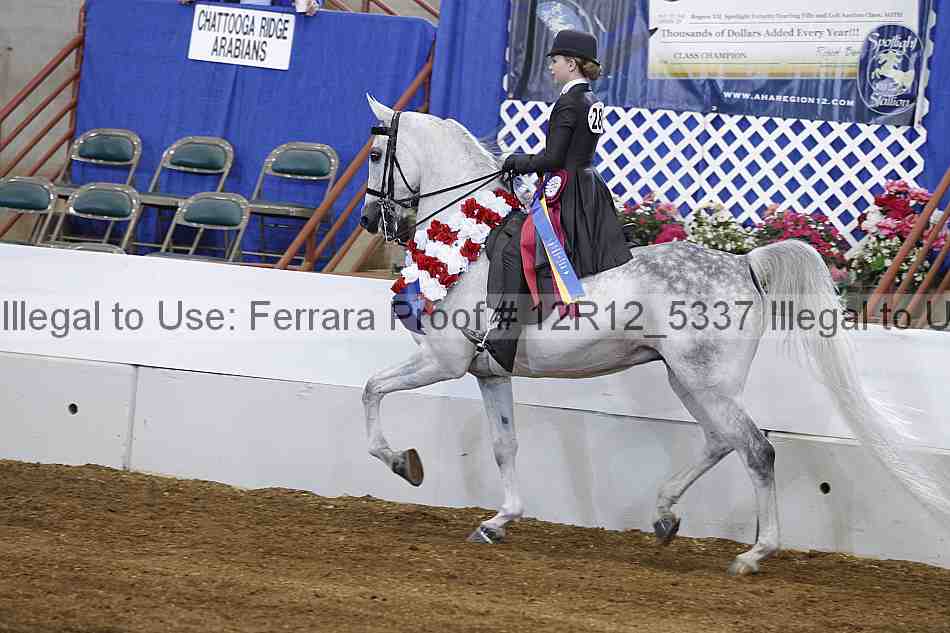 Proof Number 12r12_5337