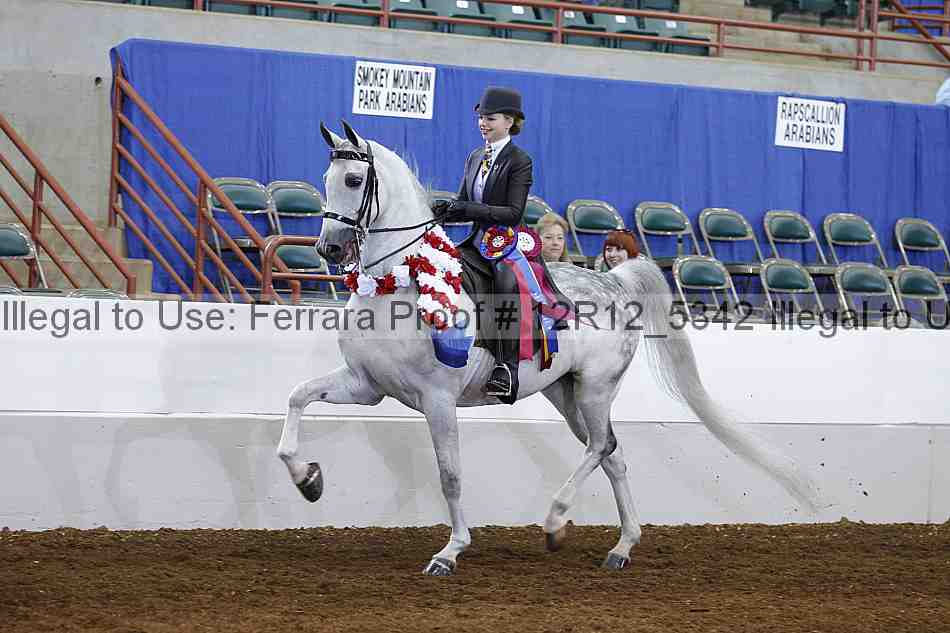 Proof Number 12r12_5342