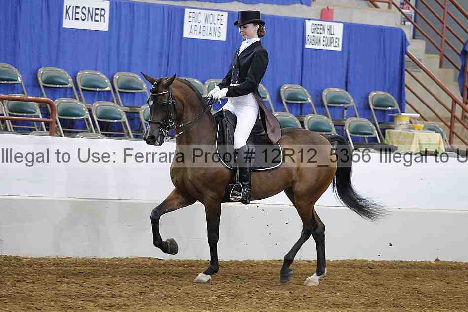 Proof Number 12r12_5366