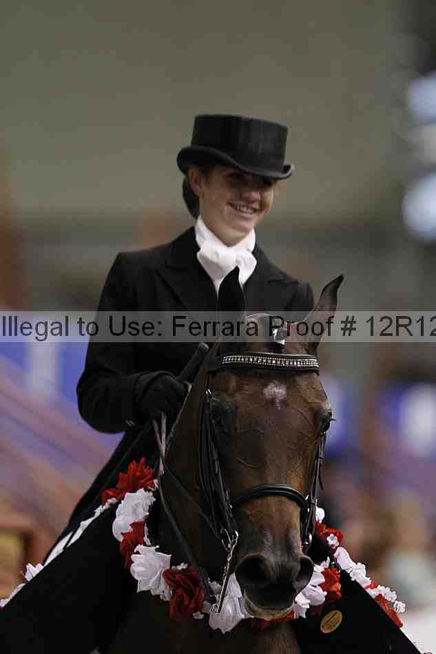 Proof Number 12r12_5389